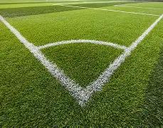 扬州鉴真半,程马拉松,大运河系列,开云体育,开云体育官网,开云体育app,开云体育app下载