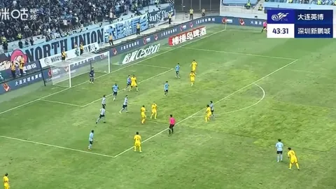 杨晨论青训：关注天赋晚熟者，需持续关注发展