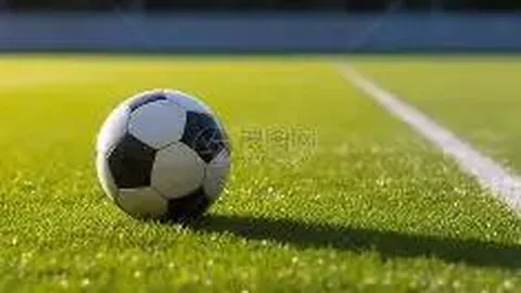 骆建佑丹麦羽球赛击败奈良冈功大，成功挺进16强